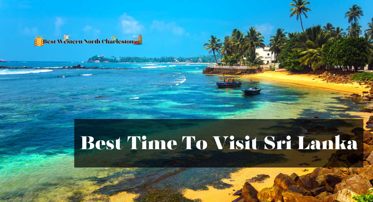Best Time To Visit Sri Lanka