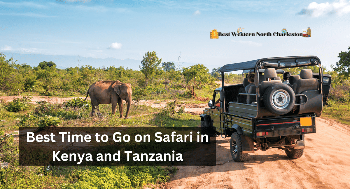 Best Time to Go on Safari in Kenya and Tanzania