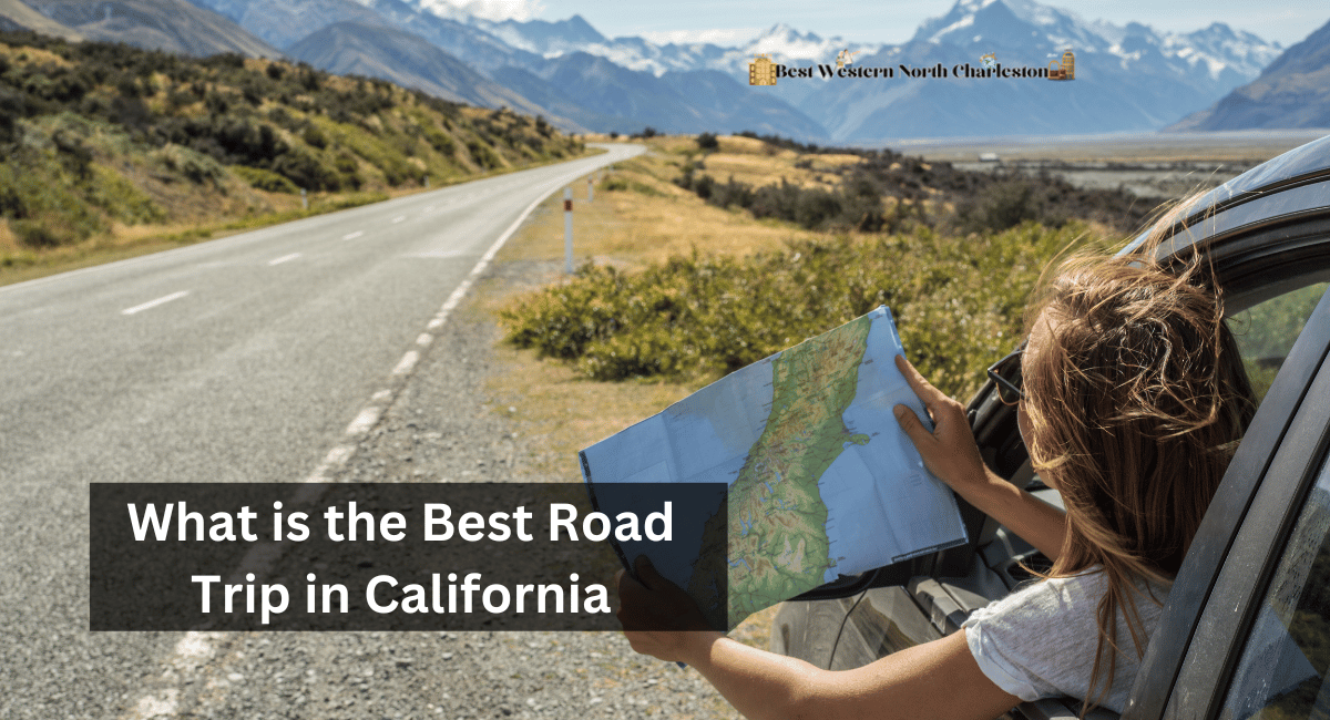 What is the Best Road Trip in California